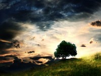 /album/fantasy-landscape/ein-kleiner-baum-auf-einer-wiese-braun-grun-blau-schwarz-jpg/